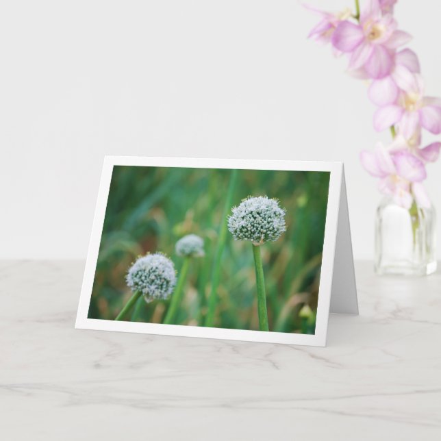 Tarjeta Allium, Flor de cebolla salvaje (Orquídea)
