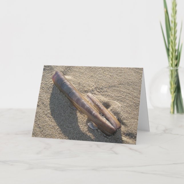 Tarjeta almeja de maquinilla de afeitar (Anverso)