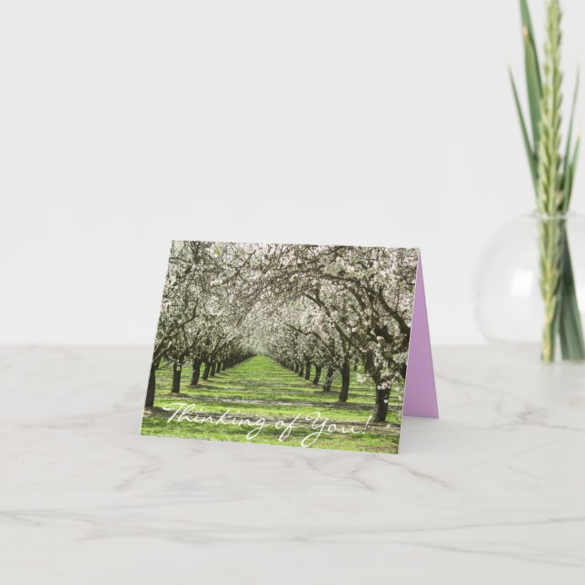 Tarjeta Almond Blossoms Notecard (Anverso)