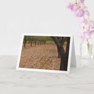 Tarjeta Almond Tree Orchard