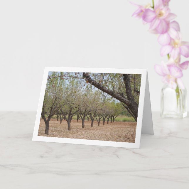 Tarjeta Almond Tree Orchard (Orquídea)
