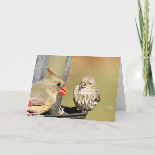 Tarjeta Almuerzo en el alimentador de aves (Anverso)