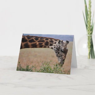 Tarjeta Almuerzo para uno