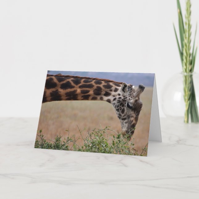 Tarjeta Almuerzo para uno (Anverso)