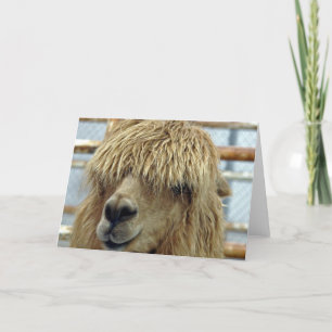 Tarjeta Alpaca