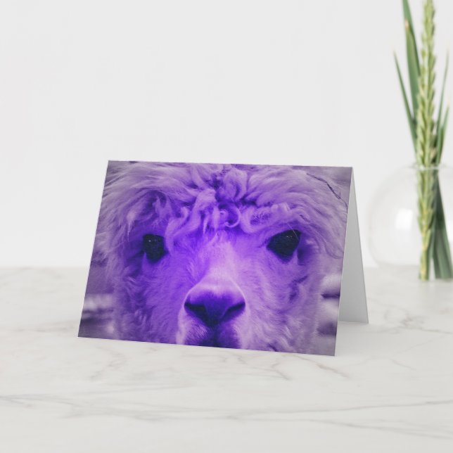 Tarjeta Alpaca de otro color (Anverso)