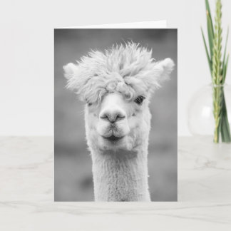 Tarjeta Alpaca en blanco y negro, cumpleaños