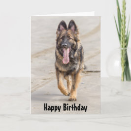 Tarjeta Alsatian del perro de pastor de alemán de la