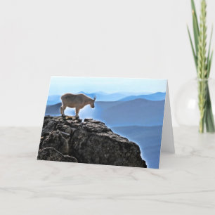 Tarjeta Alto centinela de Rockies