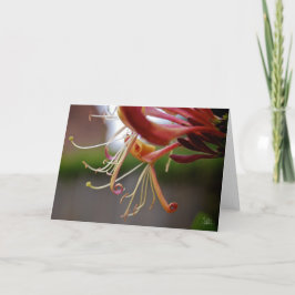 Tarjeta Aluminio [Tarjeta de felicitación]