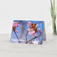 Amabilidad De Las Flores Frescas De Sakura En Prim