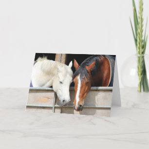 Tarjeta Amando Caballos