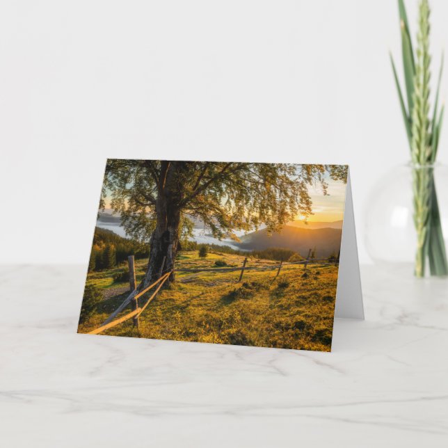 Tarjeta Amanecer brumoso en un bosque (Anverso)