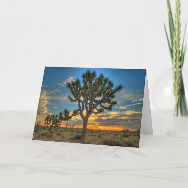 Tarjeta Amanecer En El Parque Nacional Del Árbol De Joshua (Anverso)
