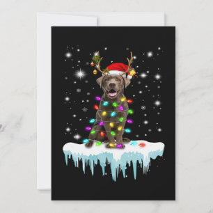 Tarjeta Amante de los Perros Luces de Navidad de Labrado