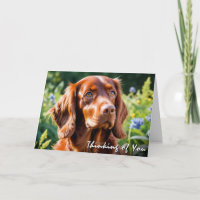 Amante del perro Setter Rojo Irlandés Pensando en 