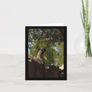 Tarjeta Amantes de la naturaleza de Hyena localizada Valen