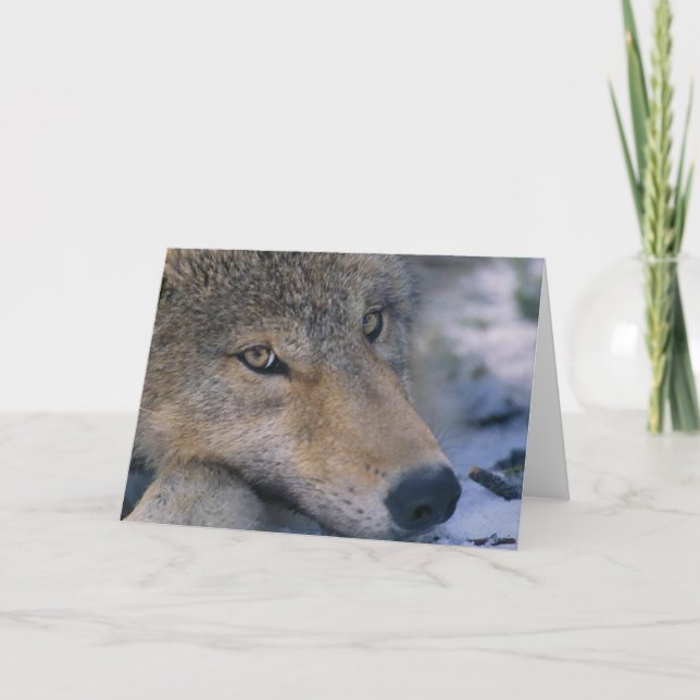 Tarjeta Amantes del lobo gris (Anverso)