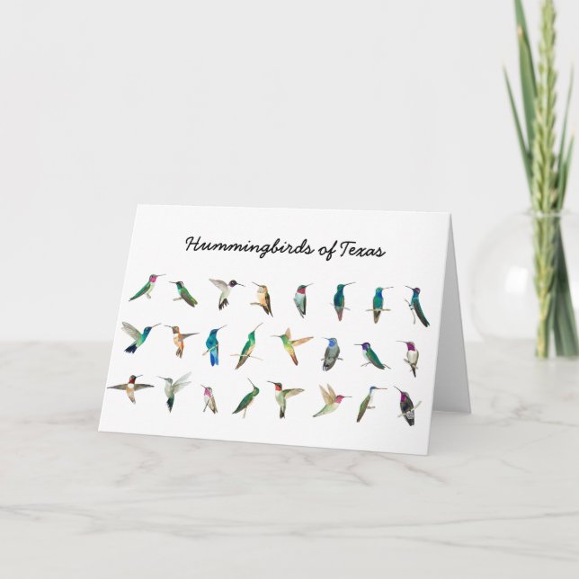 Tarjeta Amantes Hummingbirds de Texas (Anverso)
