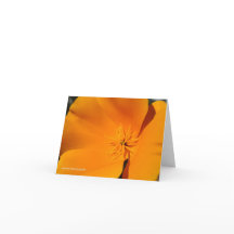 Amapola de California