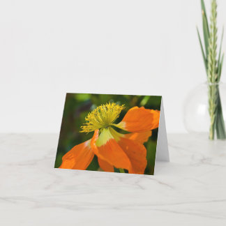 Tarjeta Amapola Notecard del resplandor solar