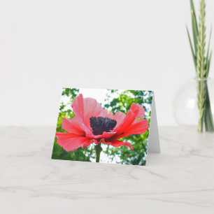 Tarjeta Amapola Notecard en blanco