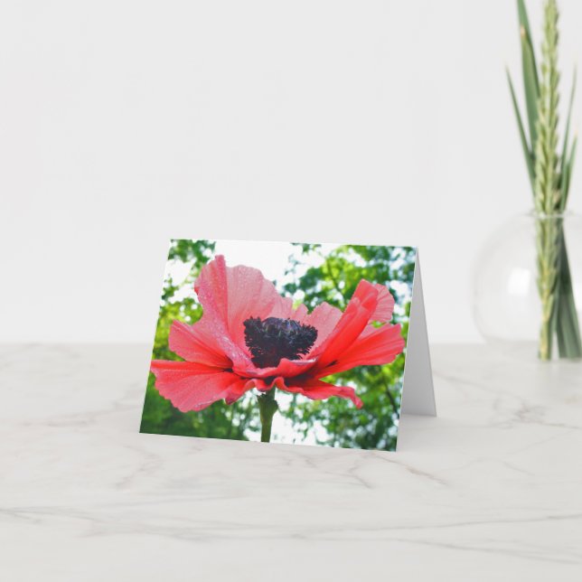 Tarjeta Amapola Notecard en blanco (Anverso)