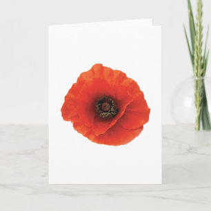Tarjeta Amapola Roja