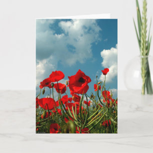 Tarjeta Amapolas