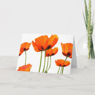 Tarjeta ¡Amapolas!