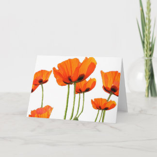 Tarjeta ¡Amapolas!