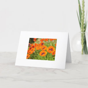 Tarjeta Amapolas