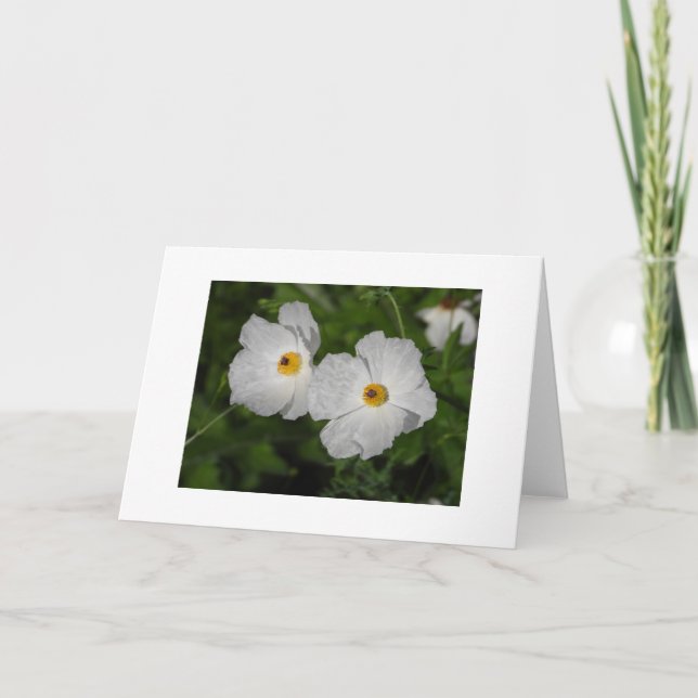 Tarjeta Amapolas Blancas Flores Botánicas En Blanco (Anverso)