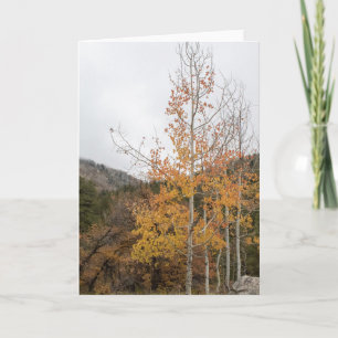 Tarjeta Amapolas Doradas Brillan Intensamente