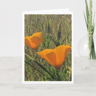Tarjeta Amapolas Doradas (Interior en Blanco)