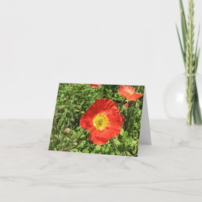 Tarjeta Amapolas perfectas (Anverso)