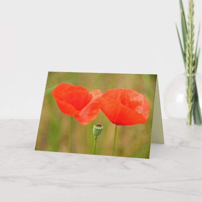 Tarjeta Amapolas rojas en Hungría Greetingcard (Anverso)