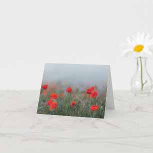 Tarjeta Amapolas rojas suaves en campo brumoso, Recuerdo 