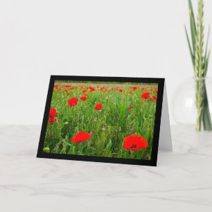 Tarjeta Amapolas y Flores Silvestres