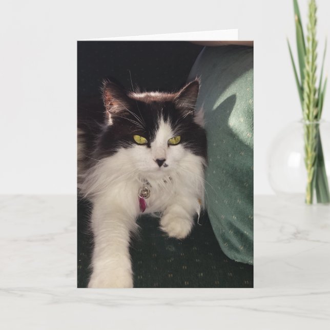 Tarjeta Amar (Anverso)