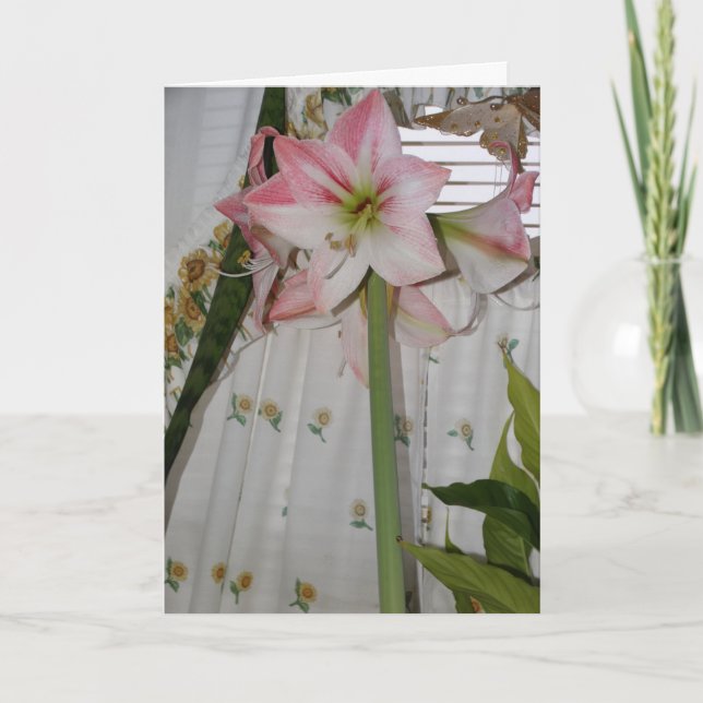 Tarjeta Amarilis Rosa, Pensando en Ti (Anverso)
