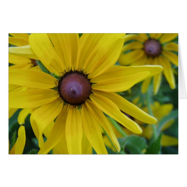 Tarjeta amarilla de la flor (Anverso (Horizontal))