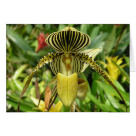 Tarjeta amarilla de la flor de la orquídea