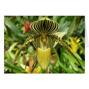 Tarjeta amarilla de la flor de la orquídea