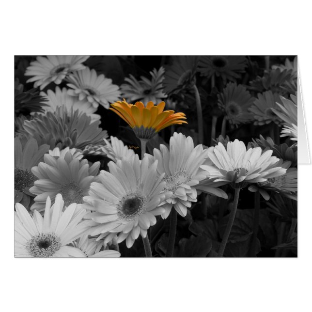 Tarjeta amarilla de la margarita (Anverso (Horizontal))