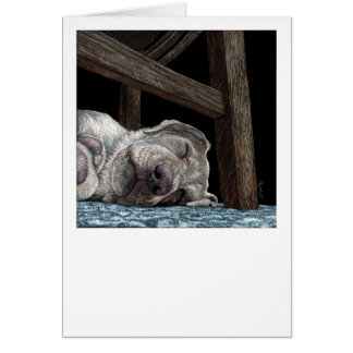 Tarjeta amarilla de laboratorio "Cualquier puerto