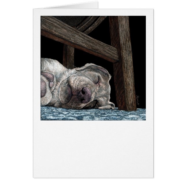 Tarjeta amarilla de laboratorio "Cualquier puerto  (Frente)