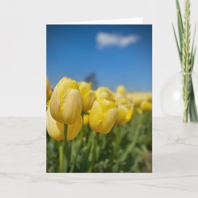 Tarjeta amarilla de tulipanes (Anverso)