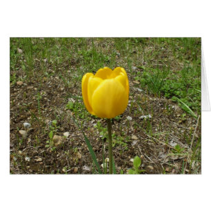 Tarjeta amarilla de tulipanes en blanco