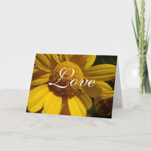 Tarjeta amarilla del amor de la margarita